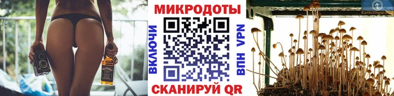 Галлюциногенные грибы Cubensis  Нижневартовск 